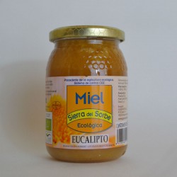 Miel Bio d'eucaliptus